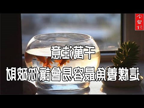 養魚 風水